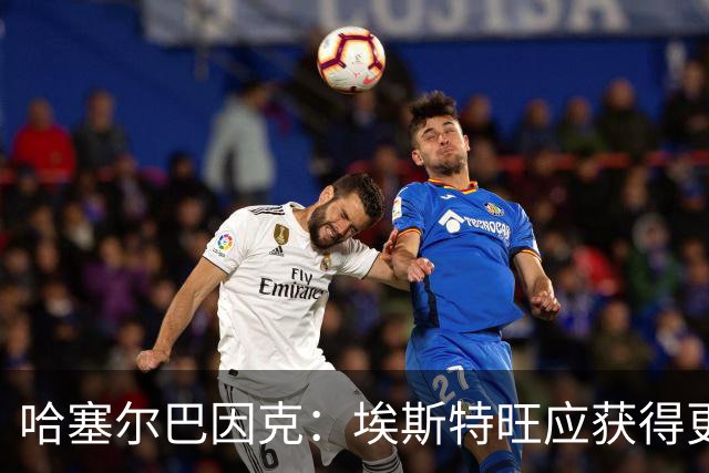哈塞尔巴因克：埃斯特旺应获得更多出场机会，后备阵容渴望新鲜血液